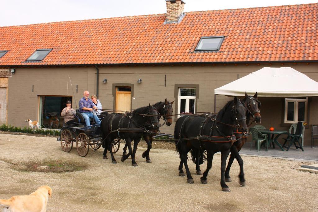 B&B Crijbohoeve Zutendaal Exterior foto
